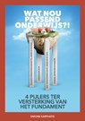 Wat nou passend onderwijs?! - Simone Sarphatie - 9789077866566