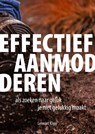 Effectief aanmodderen - Lennart Klipp - 9789081814331