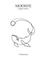 Mooiste - Lange roman - René Hombergen - 9789083205113