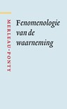 Fenomenologie van de waarneming - Maurice Merleau-Ponty - 9789085067542
