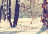 Advent en Kerst - Dietrich Bonhoeffer - 9789085202967