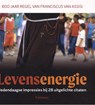 Levensenergie. 800 jaar Regel van Franciscus - Kenny Brack - 9789085286158