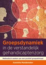 Groepsdynamiek in de verstandelijk gehandicaptenzorg - Aswintha Mandemaker - 9789088508967