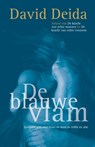 De blauwe vlam - David Deida - 9789401300865