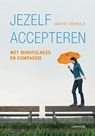 Jezelf accepteren incl - David Dewulf - 9789401406925