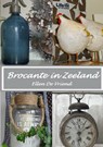 Brocante in Zeeland - Ellen de Vriend - 9789402138634