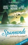 Spannende zomerbundel 2 - Brenda Novak ; Maggie Shayne ; Erica Spindler - 9789402535693