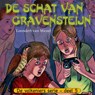 De schat van Gravensteijn - Leendert van Wezel - 9789402910520