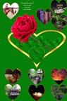 Leef Beleef! - Regina Jansen - 9789403605753