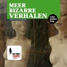Meer bizarre verhalen - Fredric Brown ; Henry Slesar ; H.P. Lovecraft ; David Ely - 9789461493217