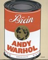 Het brein Andy Warhol - Adrian David - 9789461612670