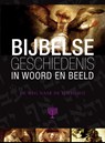 Bijbelse geschiedenis in Woord en Beeld  9  "De weg naar de toekomst" - Reinier Sonneveld - 9789461620699