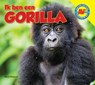 Gorilla - Steve Macleod - 9789461751478