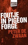 Foutje in Pigeon Forge - Peter de Zwaan - 9789462321588