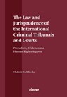 The Law and Jurisprudence of the International Criminal Tribunals and Courts - Vladimir Tochilovsky - 9789462362499