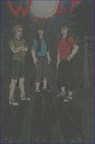 Wolf code - Inge Van Bogaert - 9789463670548