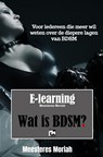 E-Learning Wat is BDSM - Meesteres Moriah - 9789465014760