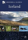 Iceland - Dirk Hilbers - 9789491648038