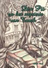 Dix Pit en het mysterie van Torak - Kiek Tas - 9789491740398