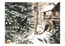 Schoolplaat Vogels in de Winter -  - 9789492033284