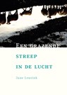 Een grazende streep in de lucht - Jane Leusink - 9789492190093