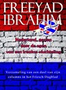 Nederland, gezien door de ogen van een Iraakse vluchtiling - Freeyad Ibrahim - 9789492228871