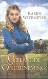 Geslaagde onderneming - Karen Witemeyer - 9789492234209