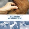 Waar heeft mijn paard pijn? - Renee Tucker - 9789492284235