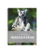 Reisdagboek Madagaskar -  - 9789493263406