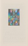 Chaotisch denken voor gevorderden - Abel van Gijlswijk - 9789493399624