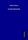 Im Bernsteinwald - Wilhelm Bölsche - 9789925021239
