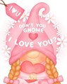 Don't You Gnome I Love You? - Stephanie O'Connor - 9798224181933