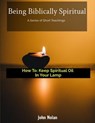 How To Keep Spiritual Oil In Your Lamp - John Nolan - 9798227019271