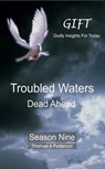 Troubled Waters Dead Ahead - Thomas A. Petterson - 9798231831166