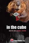 In the Cube - David Alexander Smith - 9798233609848