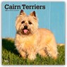 Cairn Terriers 2026 Square Flap Calendar -  - 9798330702701