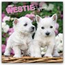 West Highland White Terrier Puppies 2027 Square Flap -  - 9798330710119