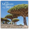 Majesty of Trees, The 2027 Square Flap -  - 9798330711574