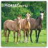 Horse Lovers - Pferdeliebhaber 2027 - 16-Monatskalender -  - 9798330711987