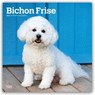 Bichon Frise 2027 Square Flap -  - 9798330712243