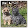 Cairn Terriers 2027 Square Flap -  - 9798330712342