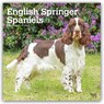 English Springer Spaniels 2027 Square Flap -  - 9798330712427