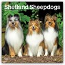 Shetland Sheepdogs 2027 Square Flap -  - 9798330712663