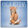 Yoga Kittens 2027 Square Plato -  - 9798330713554