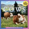 Let's Look At: Cows Picture Book for Children - Let's Look At - 9798336047974