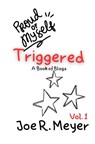 Triggered: Book of Blogs - Volume 1 - Joe R. Meyer - 9798348575472