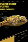 Figure eight puffer: From Novice to Expert. Comprehensive Aquarium Fish Guide - Iva Novitsky - 9798397825412