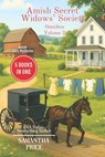 Amish Cozy Mysteries: 5 Books-in-1: Amish Undercover, Amish Breaking Point, Plain Murder, Plain Wrong, That Which Was Lost - Samantha Price - 9798610596464