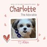 Charlotte The Adorable: Book 1 of the Sweet Charlotte Series - Tj Allen - 9798822953185