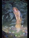 Leeporder and the Forbidden Universes - SMITH,  Samuel Lee - 9798832785974
